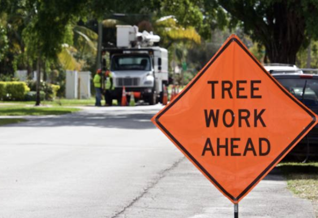 tree removal clackamas or