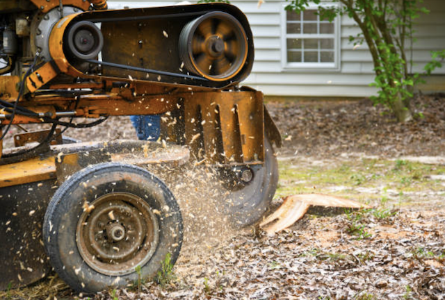 stump grinding clackamas or